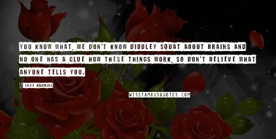 Jeff Hawkins Quotes: You know what, we don't know diddley squat about brains and no one has a clue how these things work, so don't believe what anyone tells you.