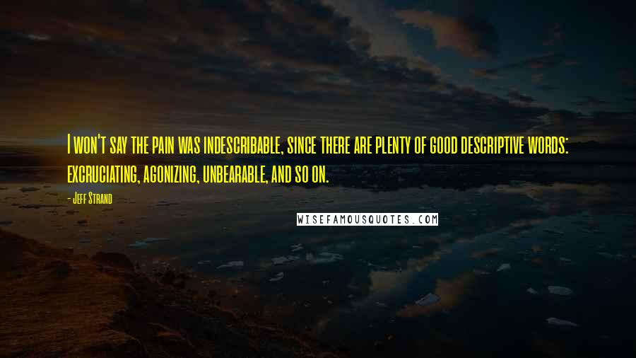 Jeff Strand Quotes: I won't say the pain was indescribable, since there are plenty of good descriptive words: excruciating, agonizing, unbearable, and so on.