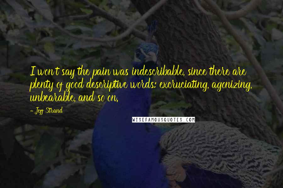 Jeff Strand Quotes: I won't say the pain was indescribable, since there are plenty of good descriptive words: excruciating, agonizing, unbearable, and so on.