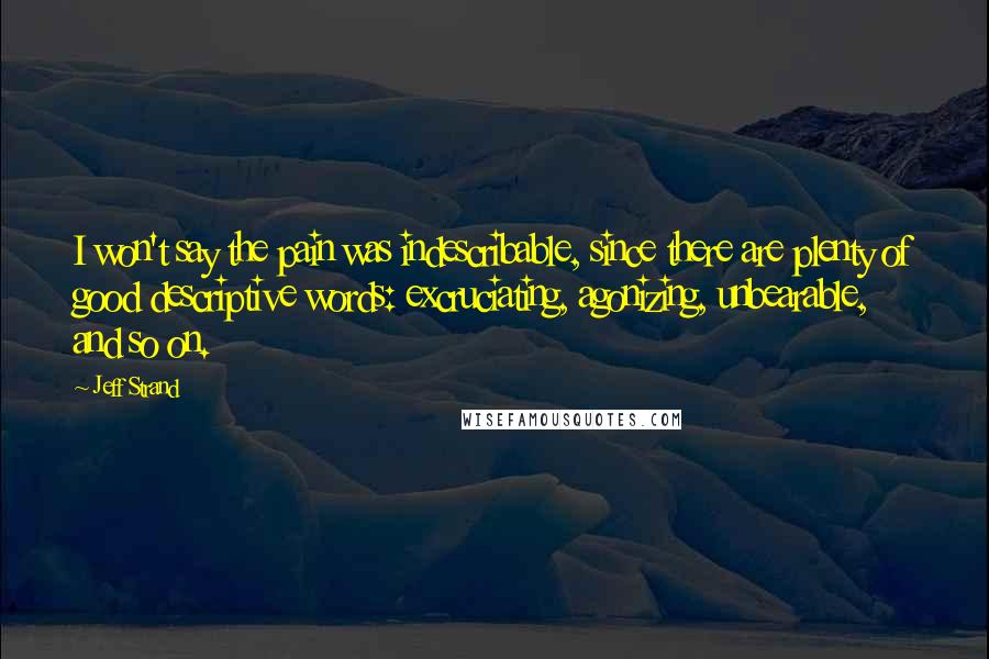 Jeff Strand Quotes: I won't say the pain was indescribable, since there are plenty of good descriptive words: excruciating, agonizing, unbearable, and so on.