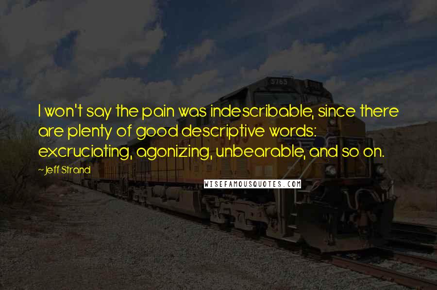 Jeff Strand Quotes: I won't say the pain was indescribable, since there are plenty of good descriptive words: excruciating, agonizing, unbearable, and so on.