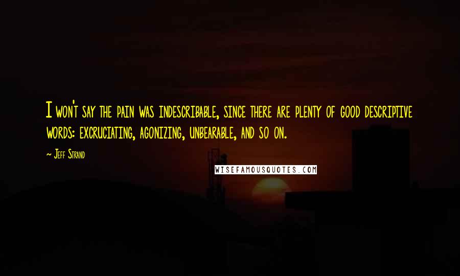 Jeff Strand Quotes: I won't say the pain was indescribable, since there are plenty of good descriptive words: excruciating, agonizing, unbearable, and so on.