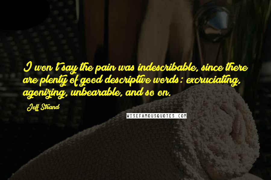 Jeff Strand Quotes: I won't say the pain was indescribable, since there are plenty of good descriptive words: excruciating, agonizing, unbearable, and so on.