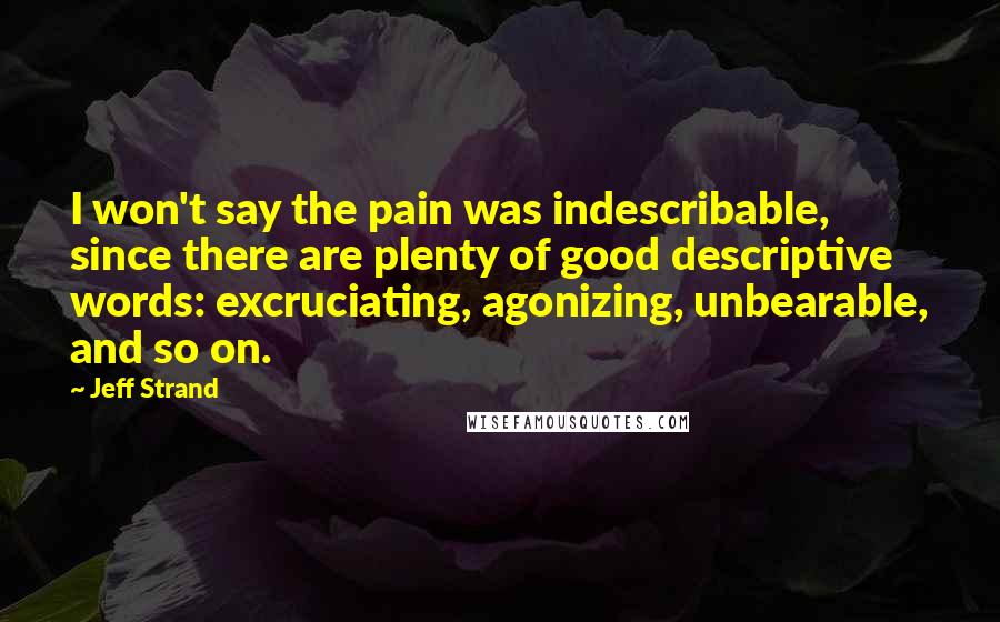 Jeff Strand Quotes: I won't say the pain was indescribable, since there are plenty of good descriptive words: excruciating, agonizing, unbearable, and so on.