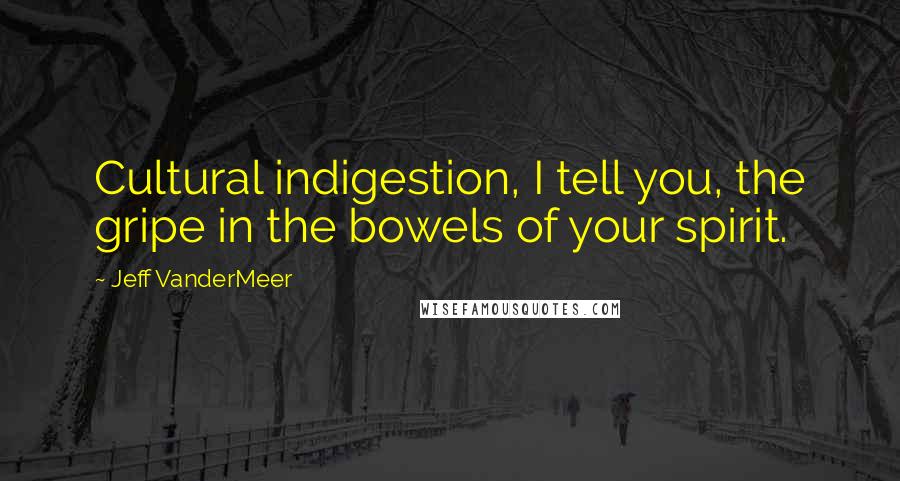 Jeff VanderMeer Quotes: Cultural indigestion, I tell you, the gripe in the bowels of your spirit.