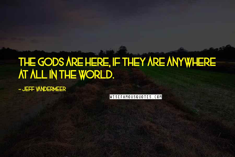 Jeff VanderMeer Quotes: The gods are here, if they are anywhere at all in the world.