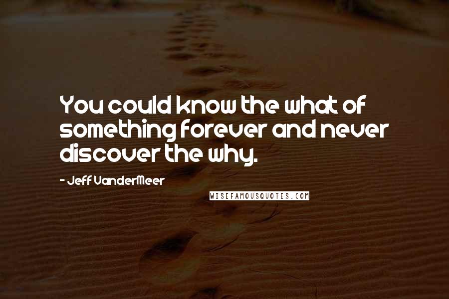 Jeff VanderMeer Quotes: You could know the what of something forever and never discover the why.