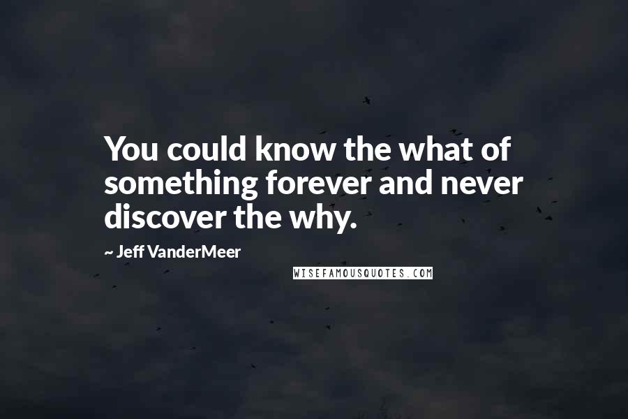 Jeff VanderMeer Quotes: You could know the what of something forever and never discover the why.