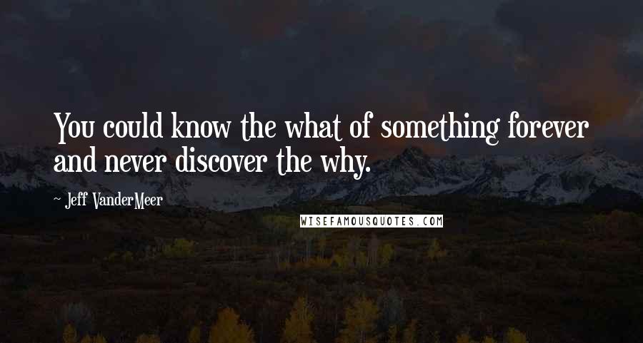 Jeff VanderMeer Quotes: You could know the what of something forever and never discover the why.