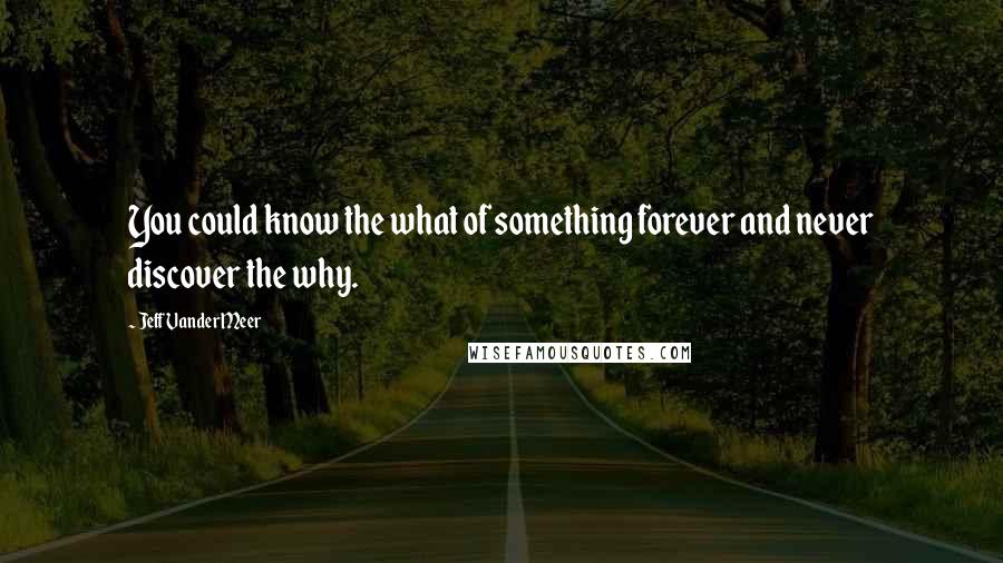 Jeff VanderMeer Quotes: You could know the what of something forever and never discover the why.