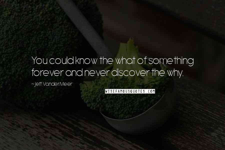 Jeff VanderMeer Quotes: You could know the what of something forever and never discover the why.