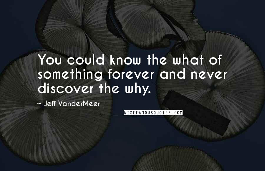 Jeff VanderMeer Quotes: You could know the what of something forever and never discover the why.