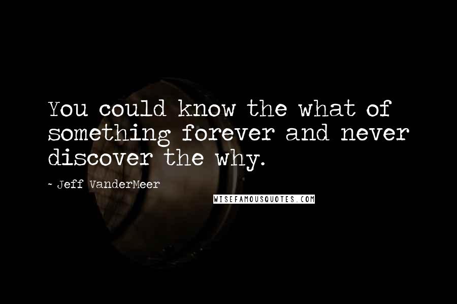 Jeff VanderMeer Quotes: You could know the what of something forever and never discover the why.