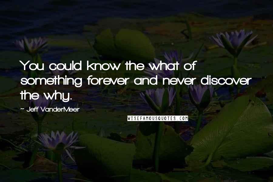 Jeff VanderMeer Quotes: You could know the what of something forever and never discover the why.