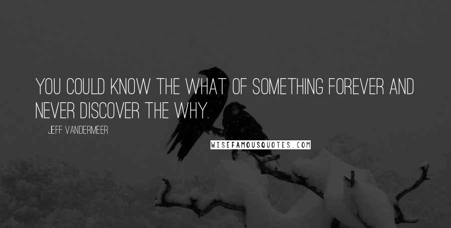 Jeff VanderMeer Quotes: You could know the what of something forever and never discover the why.