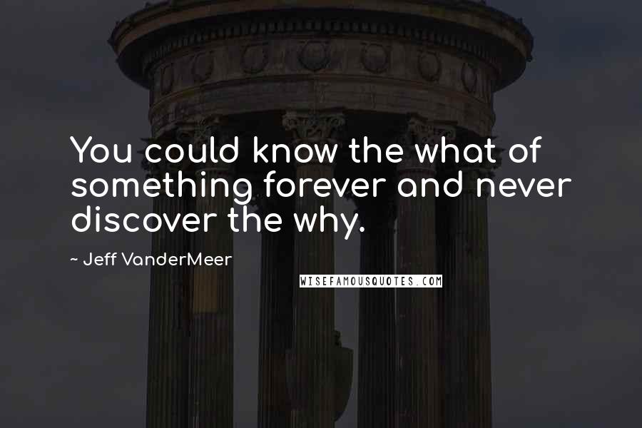 Jeff VanderMeer Quotes: You could know the what of something forever and never discover the why.