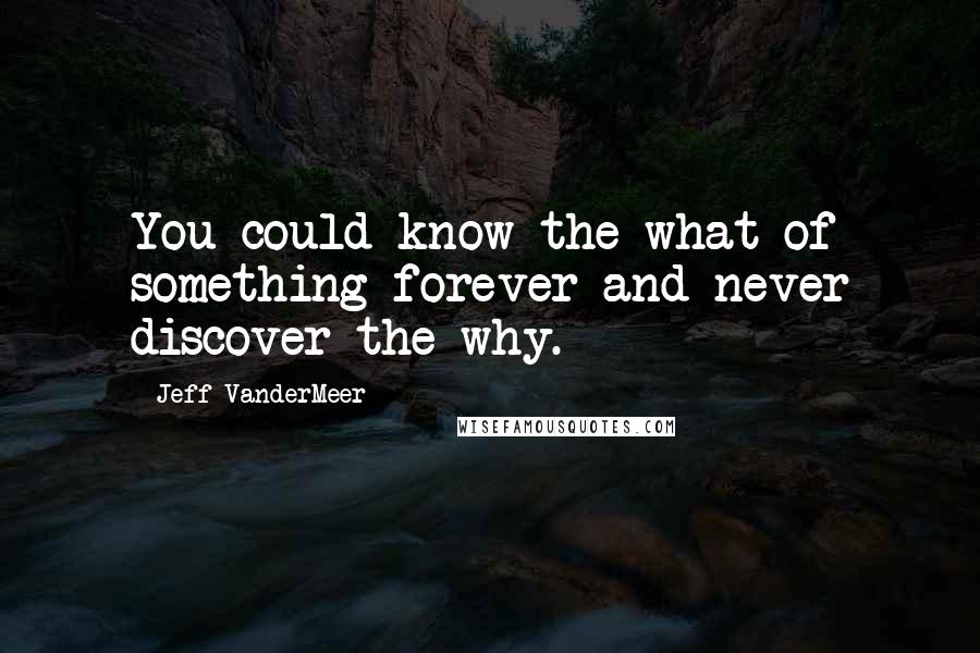 Jeff VanderMeer Quotes: You could know the what of something forever and never discover the why.