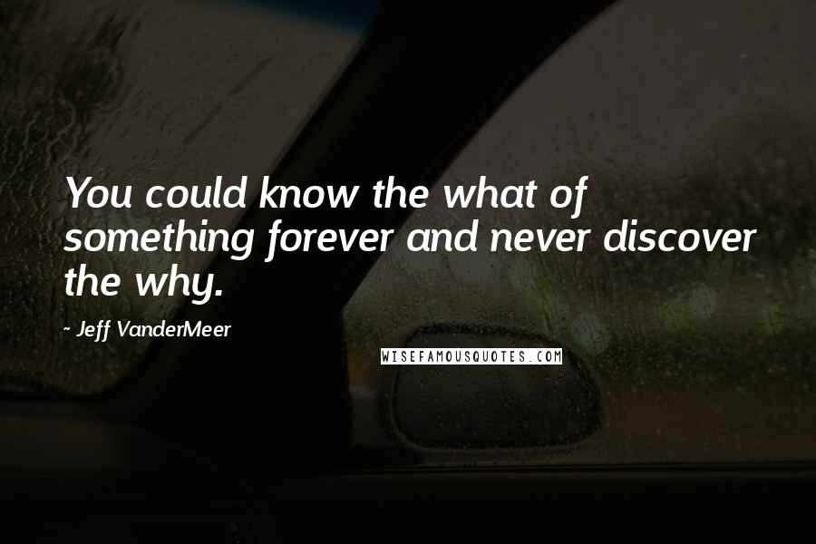 Jeff VanderMeer Quotes: You could know the what of something forever and never discover the why.