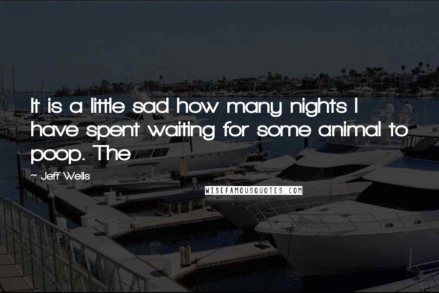 Jeff Wells Quotes: It is a little sad how many nights I have spent waiting for some animal to poop. The