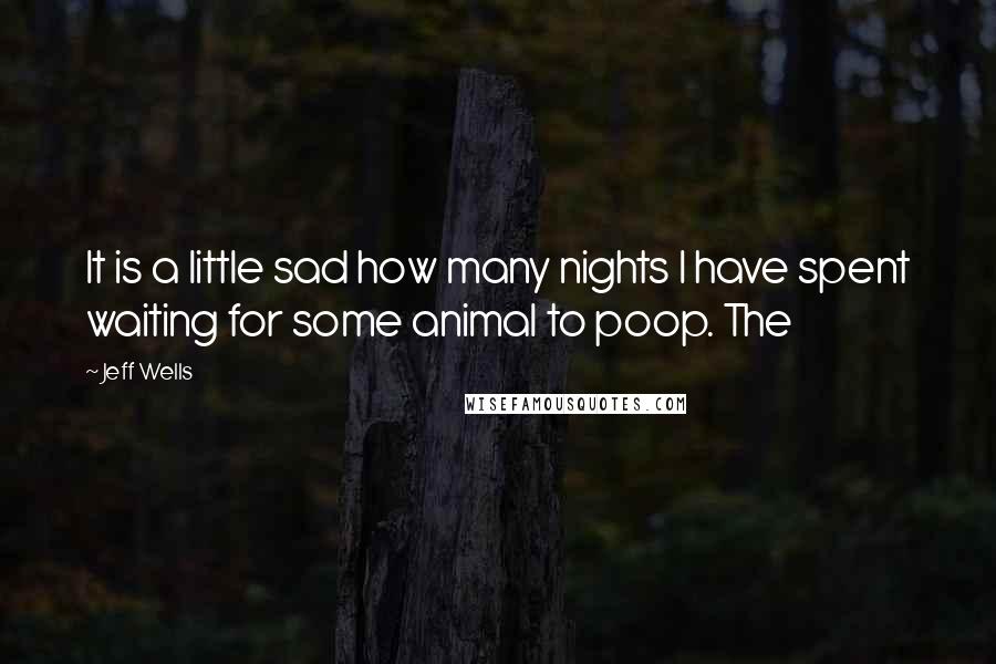 Jeff Wells Quotes: It is a little sad how many nights I have spent waiting for some animal to poop. The
