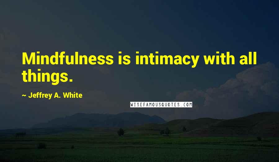 Jeffrey A. White Quotes: Mindfulness is intimacy with all things.