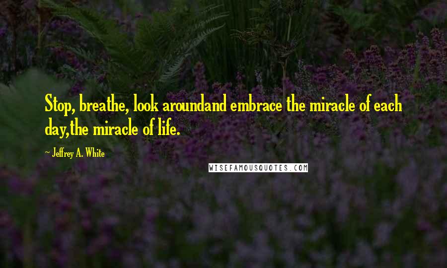 Jeffrey A. White Quotes: Stop, breathe, look aroundand embrace the miracle of each day,the miracle of life.