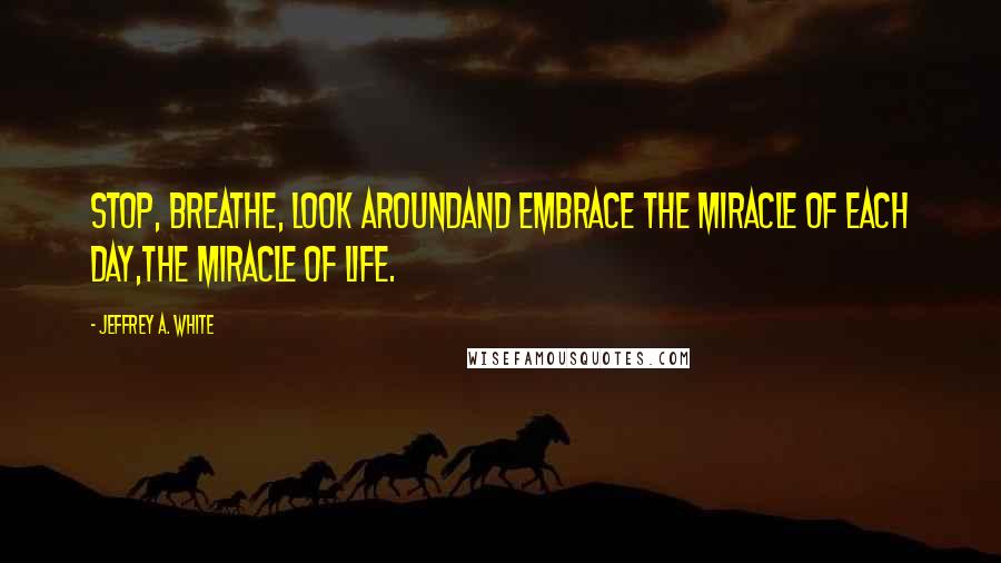 Jeffrey A. White Quotes: Stop, breathe, look aroundand embrace the miracle of each day,the miracle of life.