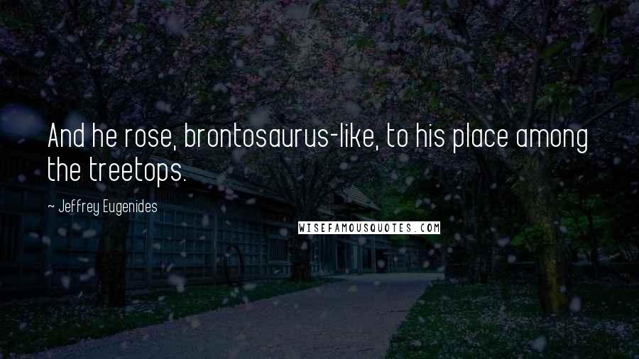 Jeffrey Eugenides Quotes: And he rose, brontosaurus-like, to his place among the treetops.