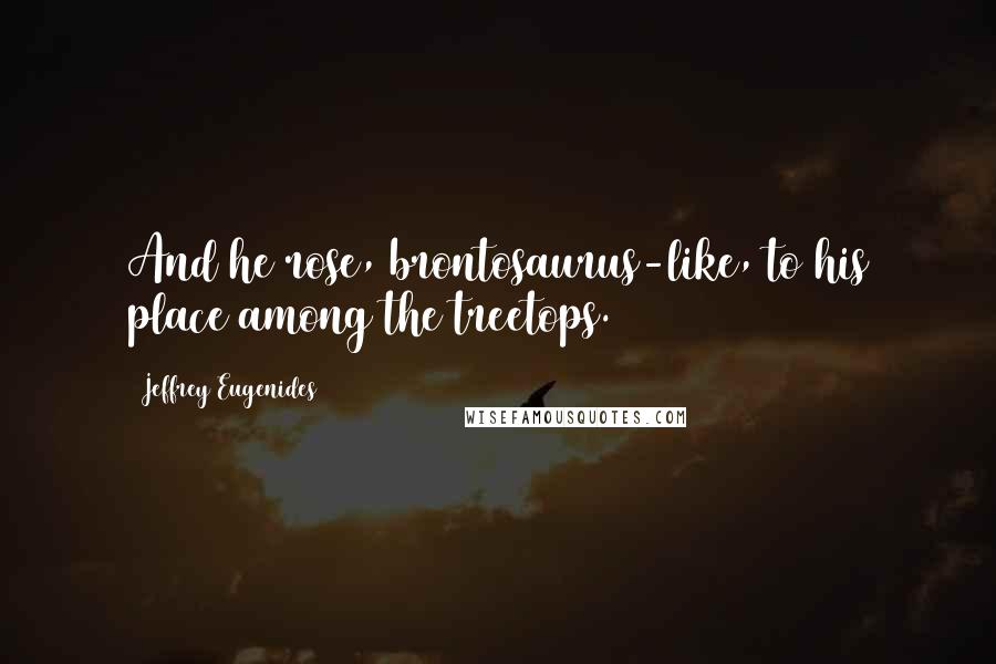 Jeffrey Eugenides Quotes: And he rose, brontosaurus-like, to his place among the treetops.