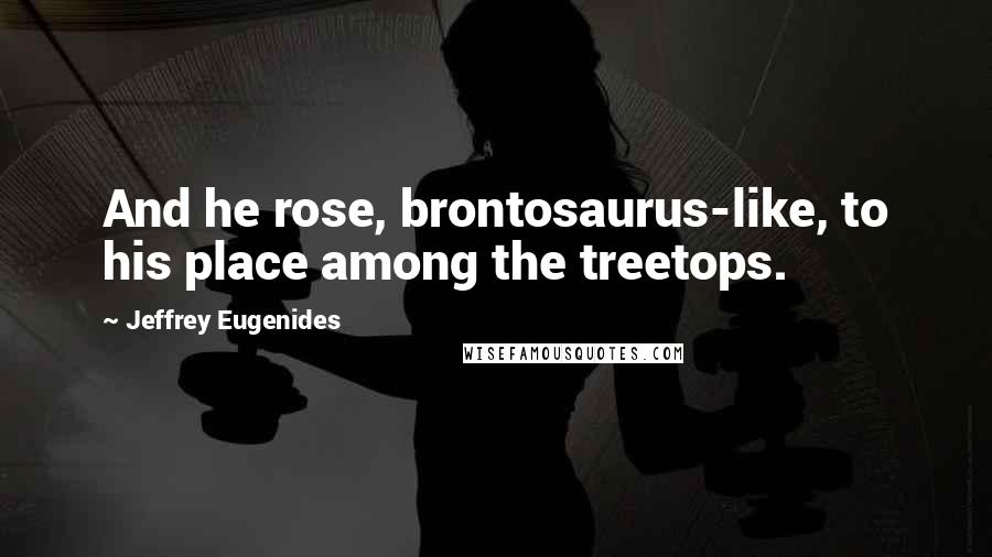 Jeffrey Eugenides Quotes: And he rose, brontosaurus-like, to his place among the treetops.
