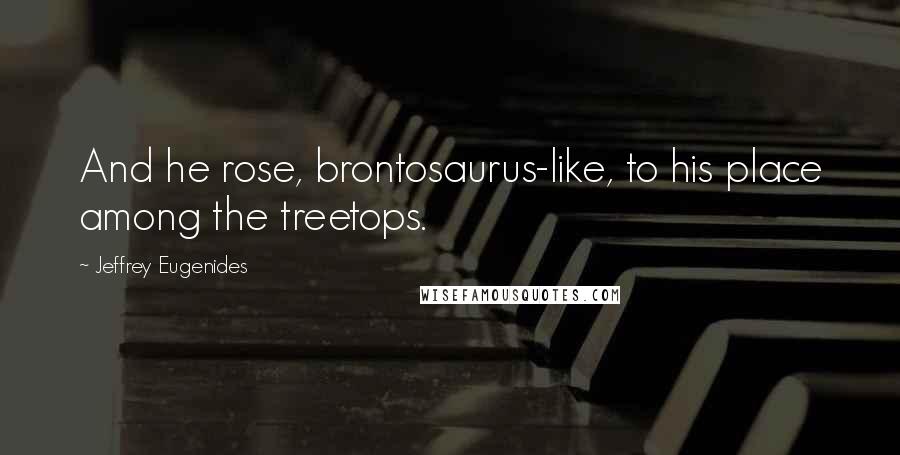 Jeffrey Eugenides Quotes: And he rose, brontosaurus-like, to his place among the treetops.