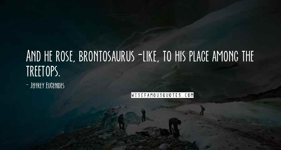 Jeffrey Eugenides Quotes: And he rose, brontosaurus-like, to his place among the treetops.