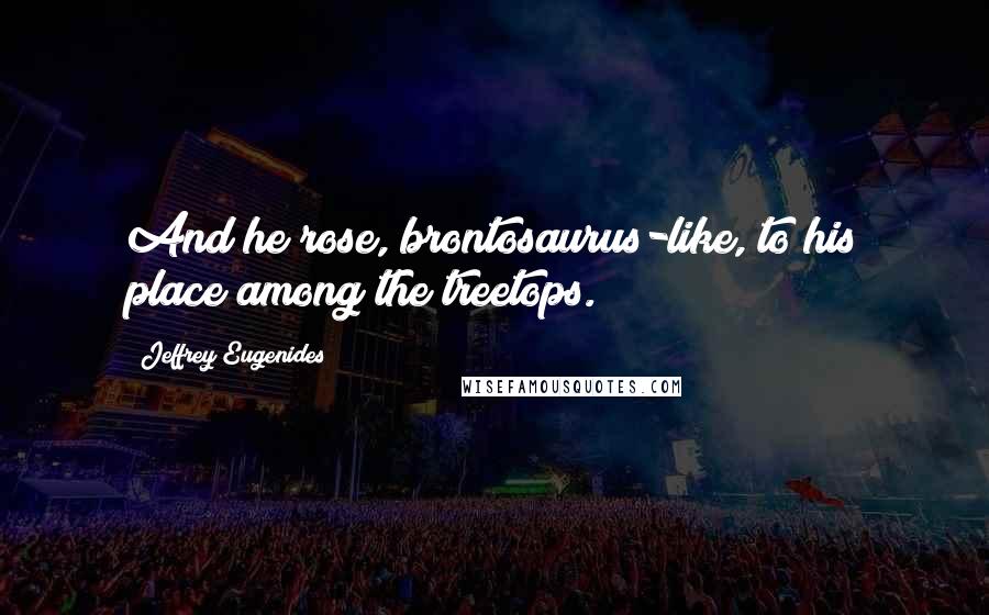 Jeffrey Eugenides Quotes: And he rose, brontosaurus-like, to his place among the treetops.