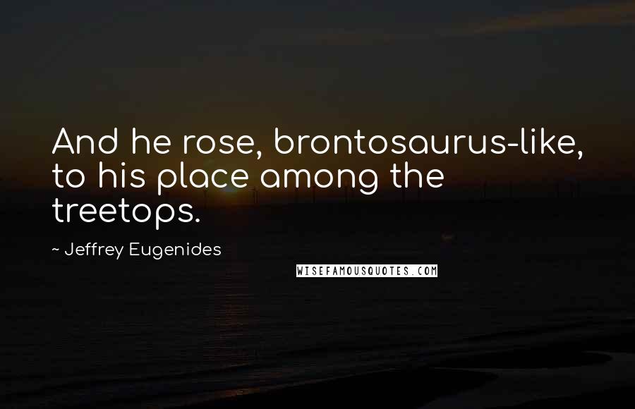 Jeffrey Eugenides Quotes: And he rose, brontosaurus-like, to his place among the treetops.