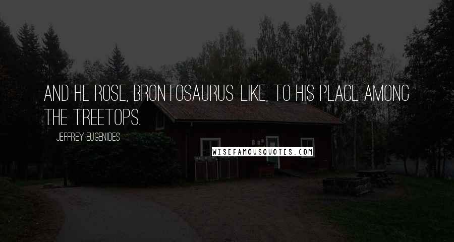 Jeffrey Eugenides Quotes: And he rose, brontosaurus-like, to his place among the treetops.