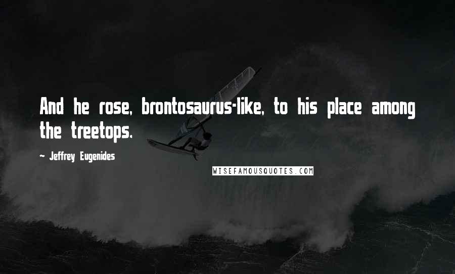 Jeffrey Eugenides Quotes: And he rose, brontosaurus-like, to his place among the treetops.