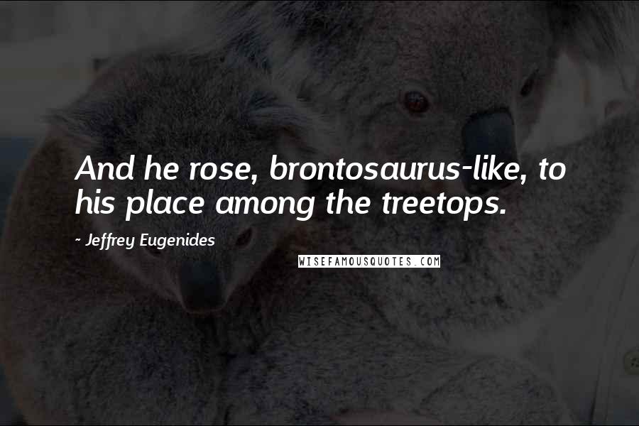 Jeffrey Eugenides Quotes: And he rose, brontosaurus-like, to his place among the treetops.