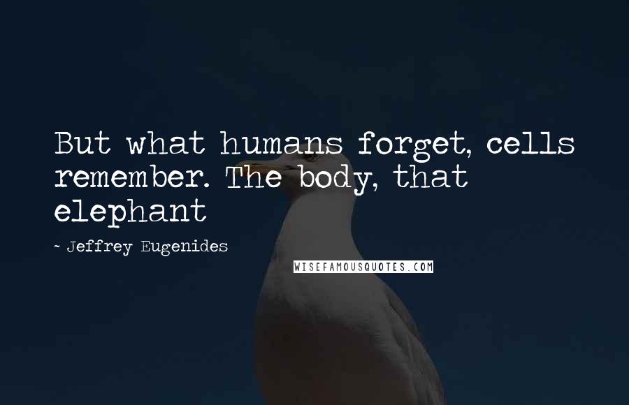 Jeffrey Eugenides Quotes: But what humans forget, cells remember. The body, that elephant