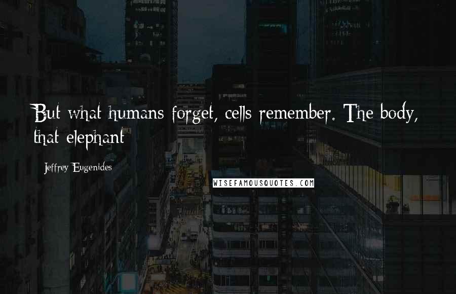 Jeffrey Eugenides Quotes: But what humans forget, cells remember. The body, that elephant