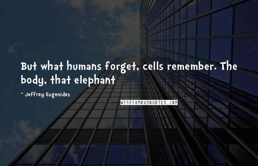 Jeffrey Eugenides Quotes: But what humans forget, cells remember. The body, that elephant