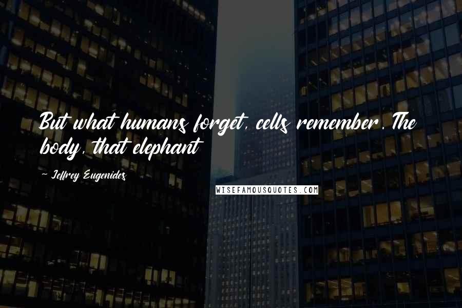 Jeffrey Eugenides Quotes: But what humans forget, cells remember. The body, that elephant