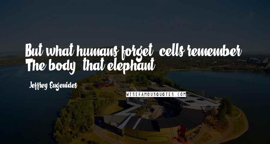 Jeffrey Eugenides Quotes: But what humans forget, cells remember. The body, that elephant