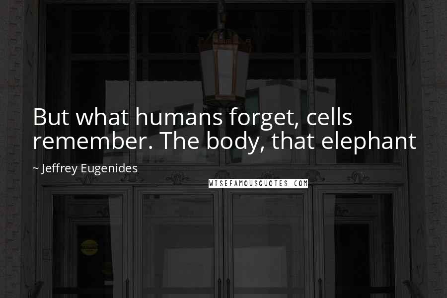 Jeffrey Eugenides Quotes: But what humans forget, cells remember. The body, that elephant