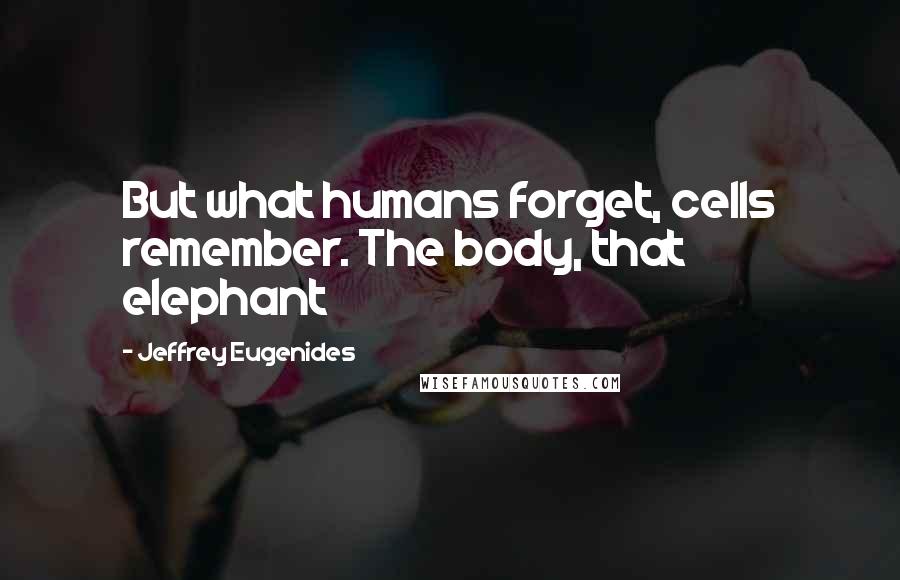 Jeffrey Eugenides Quotes: But what humans forget, cells remember. The body, that elephant