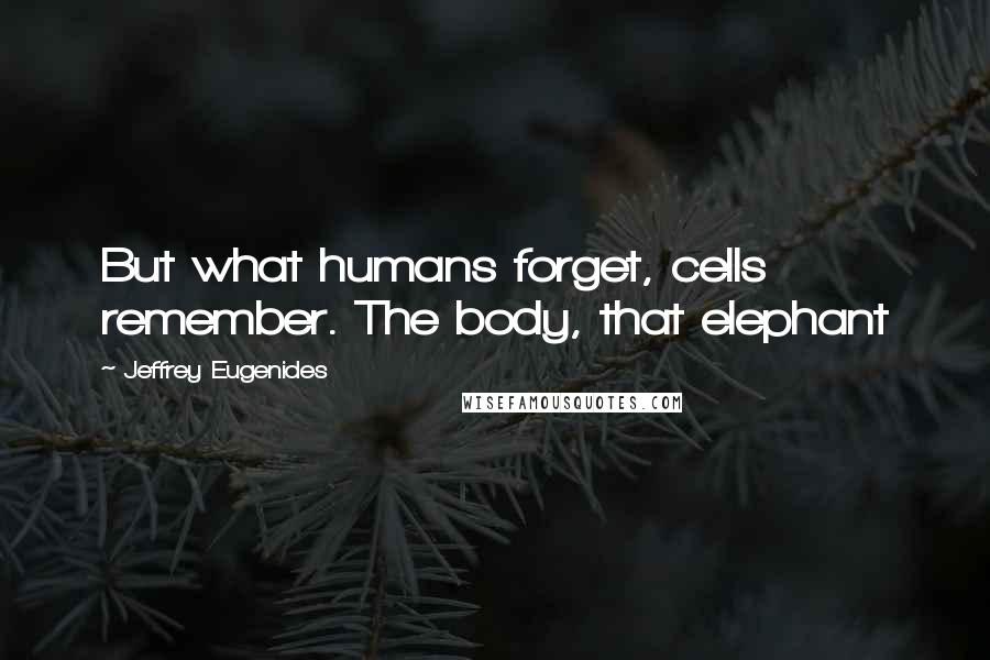 Jeffrey Eugenides Quotes: But what humans forget, cells remember. The body, that elephant