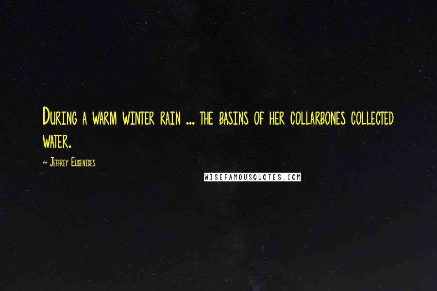 Jeffrey Eugenides Quotes: During a warm winter rain ... the basins of her collarbones collected water.