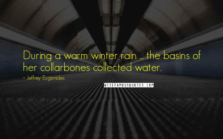 Jeffrey Eugenides Quotes: During a warm winter rain ... the basins of her collarbones collected water.