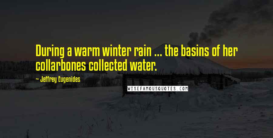 Jeffrey Eugenides Quotes: During a warm winter rain ... the basins of her collarbones collected water.