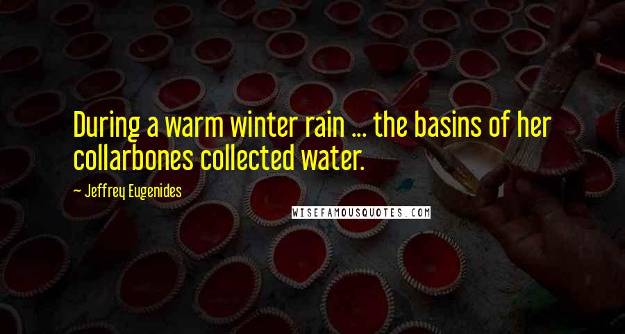 Jeffrey Eugenides Quotes: During a warm winter rain ... the basins of her collarbones collected water.