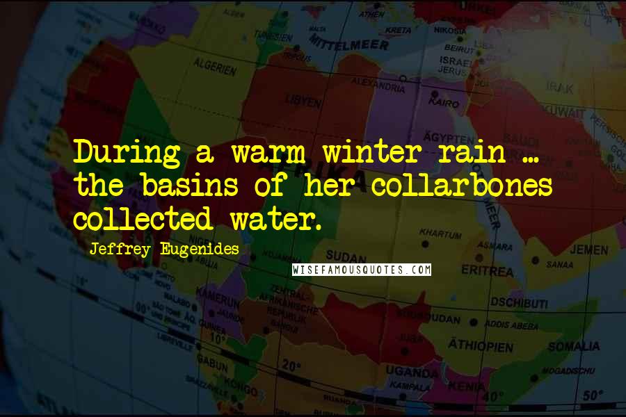 Jeffrey Eugenides Quotes: During a warm winter rain ... the basins of her collarbones collected water.